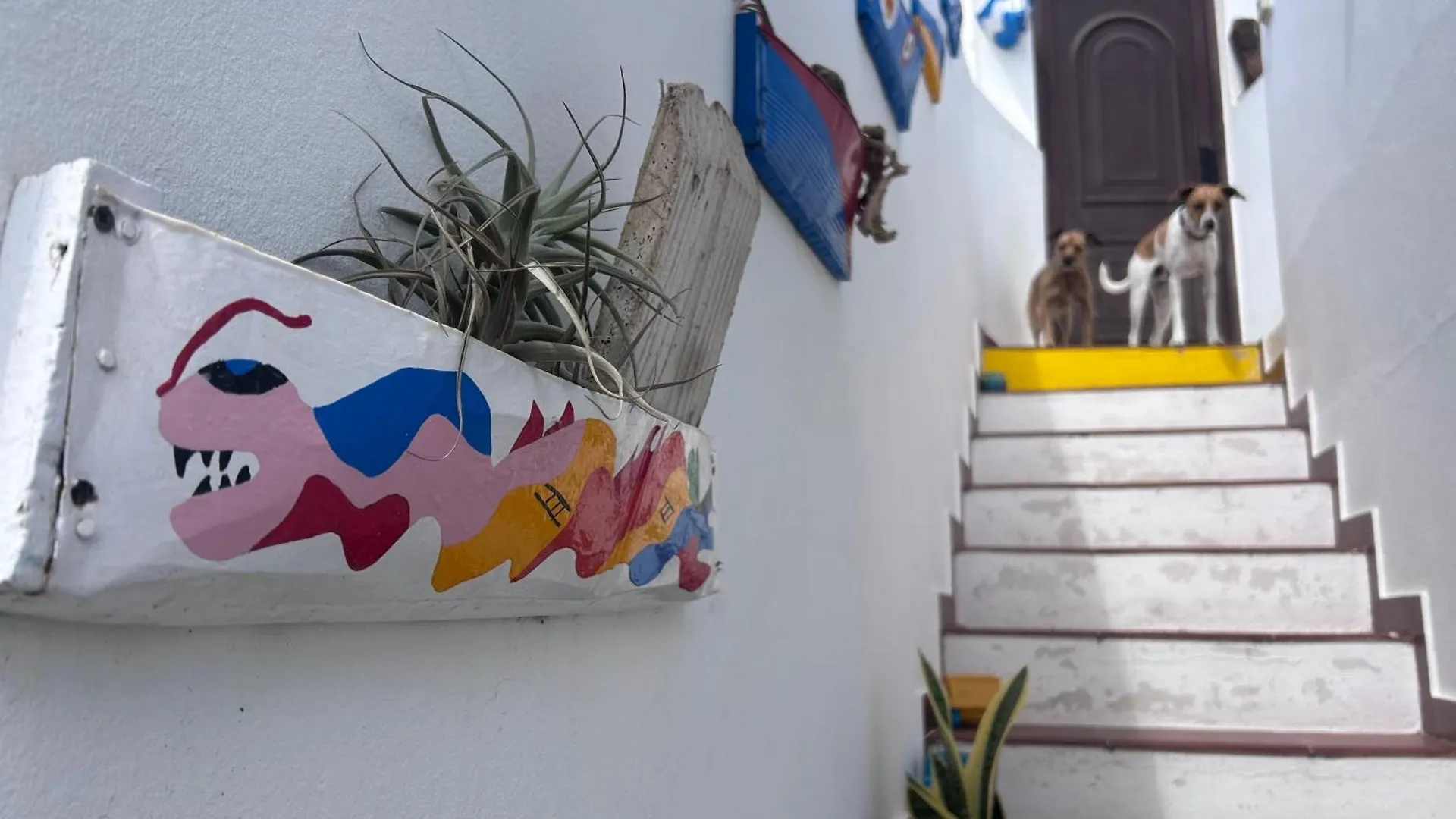 Semesterbostad La Buganvilla House Arrecife  Spanien